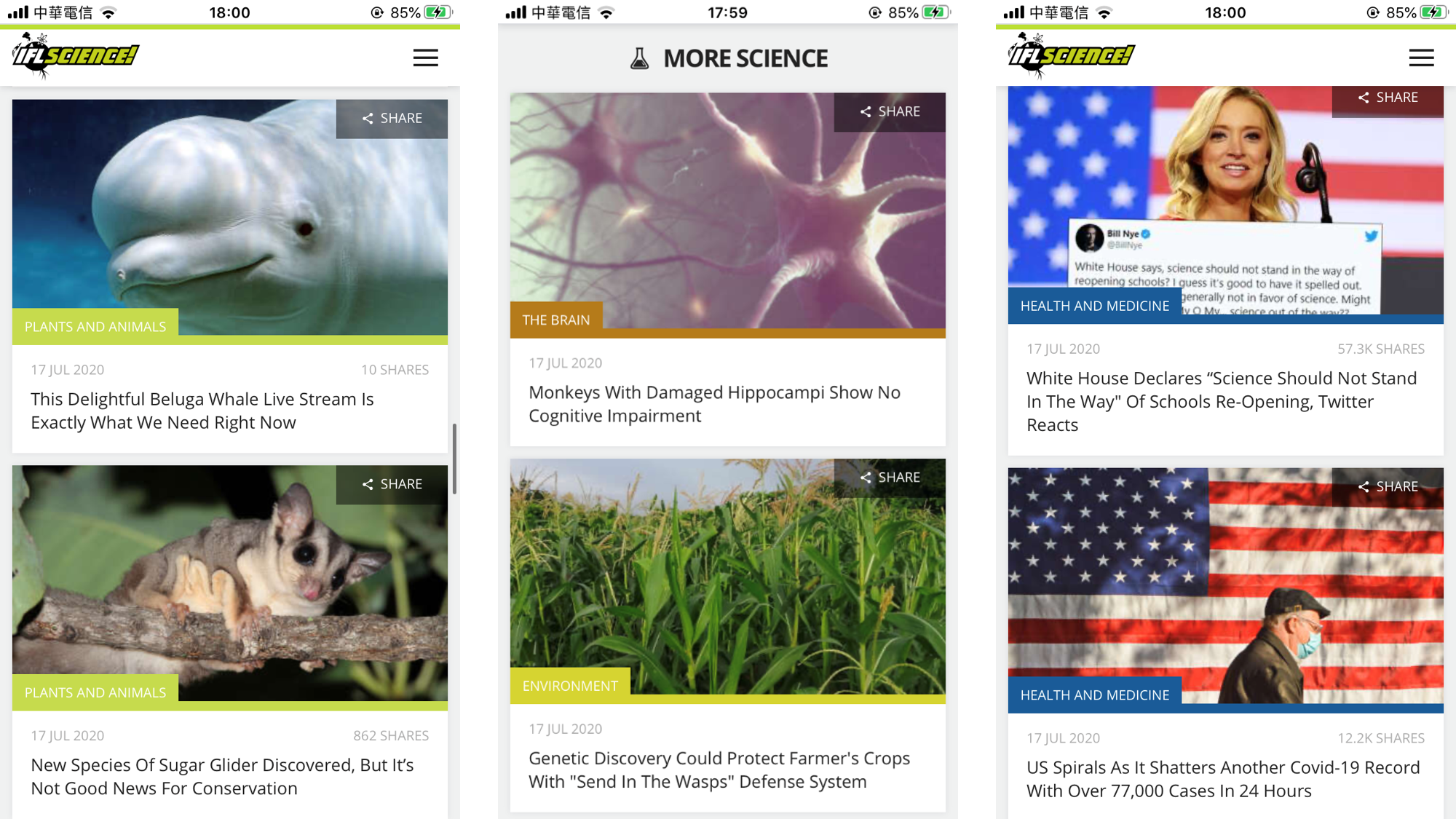 IFL Science IFL Science